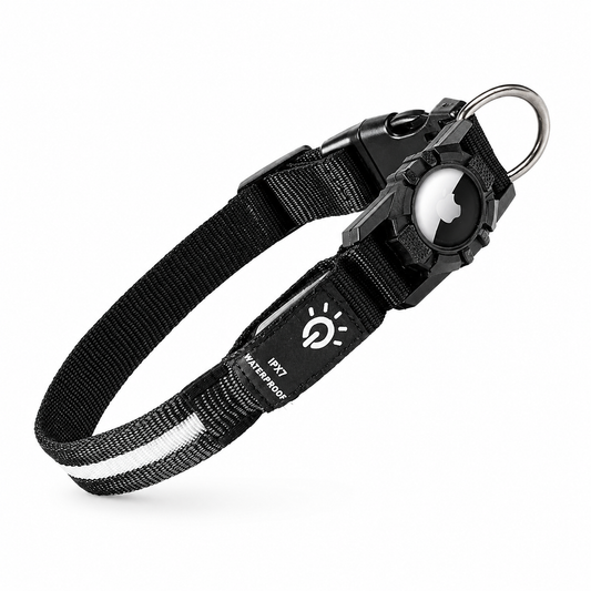 GlowTrail Waterproof LED Dog Collar
